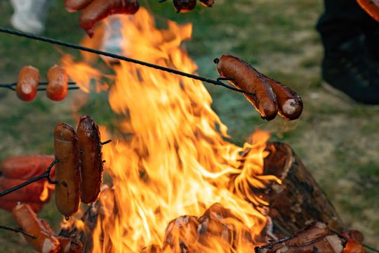 V Zlot Morsów u Krokodyla na Jeziorem Białym w Okunince [GALERIA ZDJĘĆ]