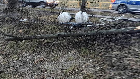 Chełm. Na Lubelskiej zderzyły się osobówki, na Szwoleżerów volvo skosiło latarnię [GALERIA ZDJĘĆ]