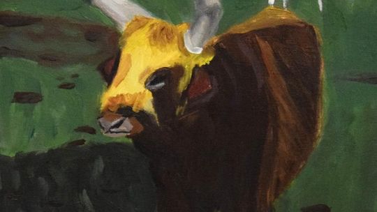 Chełm. Wernisaż wystawy Rok-pracowni plastycznej Modna Sztuka [GALERIA ZDJĘĆ]