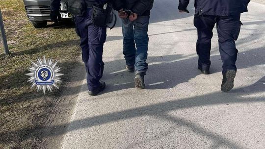 Pow. chełmski. 42-latek uśmiercił swojego kota siekierą. Odciął mu głowę, łapkę i ogonek... [GALERIA ZDJĘĆ]