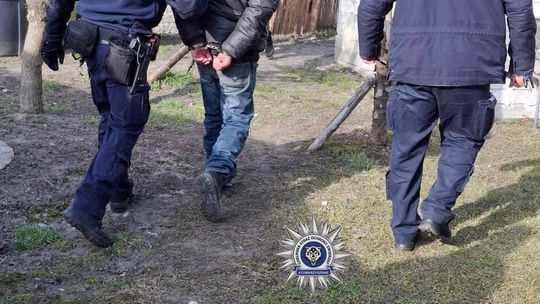 Pow. chełmski. 42-latek uśmiercił swojego kota siekierą. Odciął mu głowę, łapkę i ogonek... [GALERIA ZDJĘĆ]