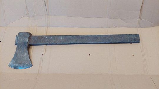 Pow. chełmski. 42-latek uśmiercił swojego kota siekierą. Odciął mu głowę, łapkę i ogonek... [GALERIA ZDJĘĆ]