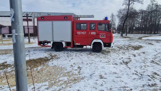 Okuninka. Włodawskim morsom też zawsze gorąco [GALERIA ZDJĘĆ]