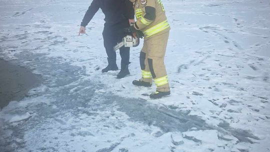 Okuninka. Włodawskim morsom też zawsze gorąco [GALERIA ZDJĘĆ]