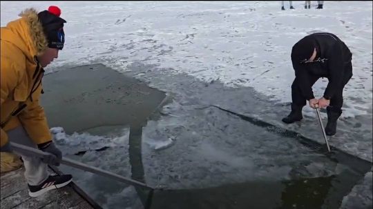 Okuninka. Włodawskim morsom też zawsze gorąco [GALERIA ZDJĘĆ]