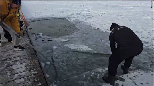 Okuninka. Włodawskim morsom też zawsze gorąco [GALERIA ZDJĘĆ]