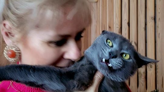 Piękne kociaki naszych Czytelników [GALERIA ZDJĘĆ]