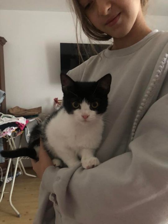 Piękne kociaki naszych Czytelników [GALERIA ZDJĘĆ]