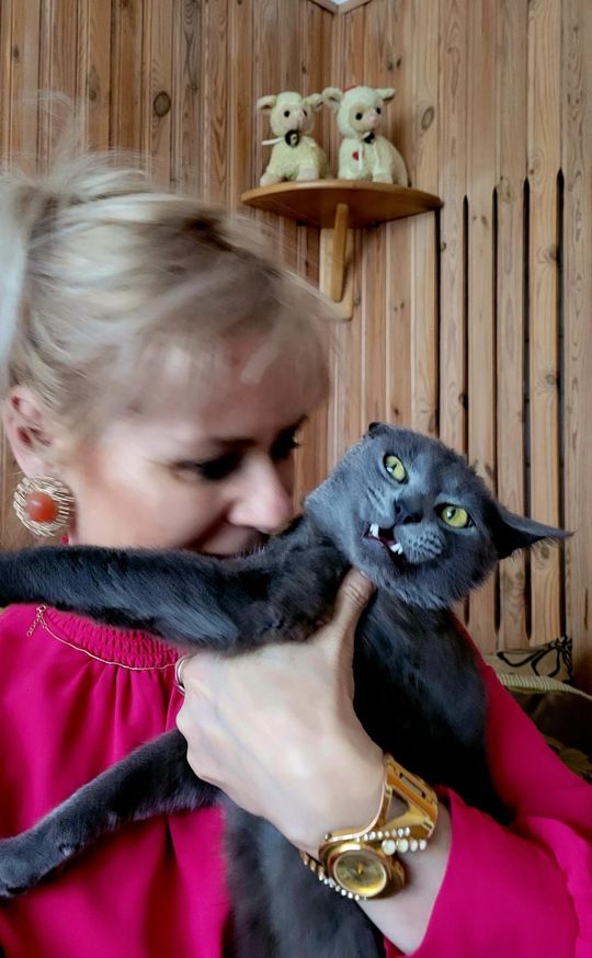 Piękne kociaki naszych Czytelników [GALERIA ZDJĘĆ]