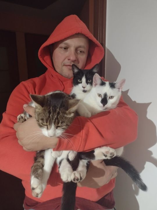 Piękne kociaki naszych Czytelników [GALERIA ZDJĘĆ]