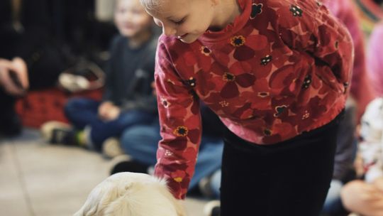 Gm. Leśniowice. Wesołe ferie w SOK. Była nawet dogoterapia [GALERIA ZDJĘĆ]