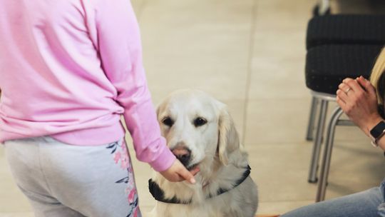 Gm. Leśniowice. Wesołe ferie w SOK. Była nawet dogoterapia [GALERIA ZDJĘĆ]