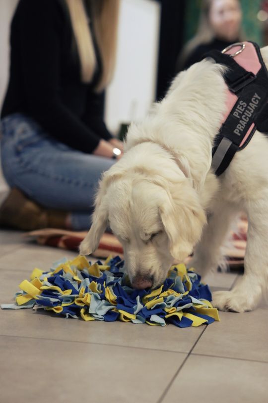 Gm. Leśniowice. Wesołe ferie w SOK. Była nawet dogoterapia [GALERIA ZDJĘĆ]