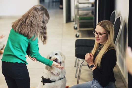 Gm. Leśniowice. Wesołe ferie w SOK. Była nawet dogoterapia [GALERIA ZDJĘĆ]
