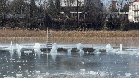Krasnostawskie Karpie wykąpały się w przerębli [GALERIA ZDJĘĆ]