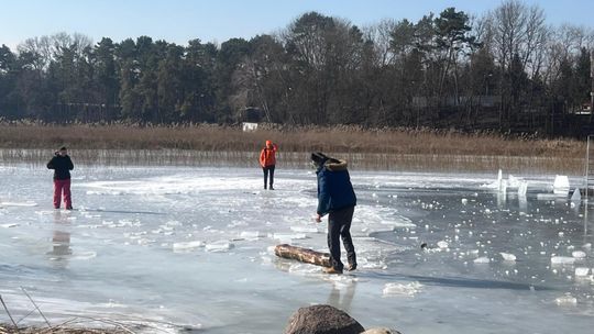 Krasnostawskie Karpie wykąpały się w przerębli [GALERIA ZDJĘĆ]