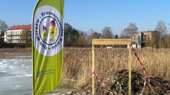 Krasnostawskie Karpie wykąpały się w przerębli [GALERIA ZDJĘĆ]