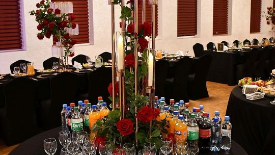 Krasnystaw. Charytatywny I Bal Samorządowca [GALERIA ZDJĘĆ]