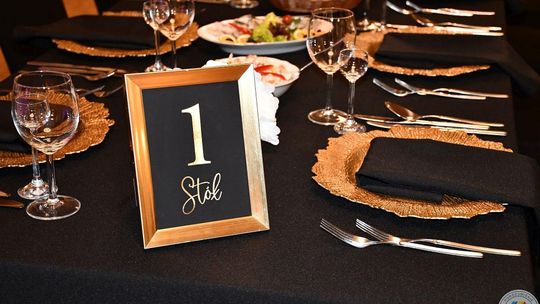 Krasnystaw. Charytatywny I Bal Samorządowca [GALERIA ZDJĘĆ]