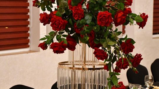 Krasnystaw. Charytatywny I Bal Samorządowca [GALERIA ZDJĘĆ]