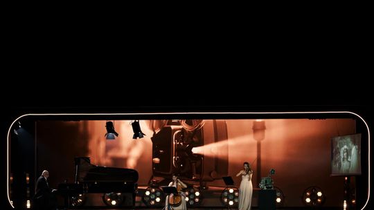 Nadanie honorowych tytułów Ambasador Województwa Lubelskiego 2024 [GALERIA ZDJĘĆ]