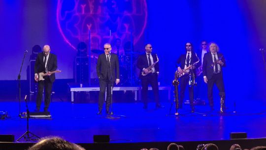 Chełm. Poparzeni Kawą Trzy zagrali w Chełmskim Domu Kultury [GALERIA ZDJĘĆ]