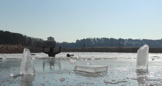 Krasnostawskie Karpie wykąpały się w przerębli [GALERIA ZDJĘĆ]