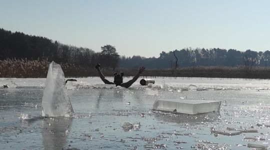 Krasnostawskie Karpie wykąpały się w przerębli [GALERIA ZDJĘĆ]