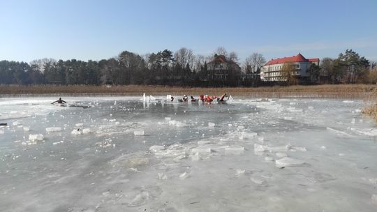 Krasnostawskie Karpie wykąpały się w przerębli [GALERIA ZDJĘĆ]