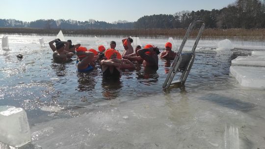 Krasnostawskie Karpie wykąpały się w przerębli [GALERIA ZDJĘĆ]