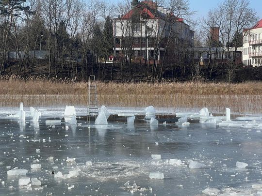 Krasnostawskie Karpie wykąpały się w przerębli [GALERIA ZDJĘĆ]