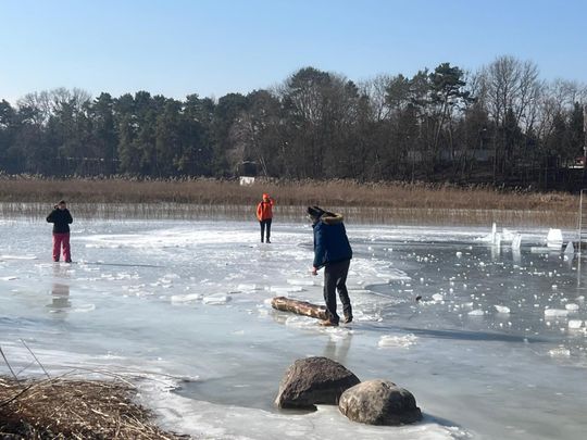 Krasnostawskie Karpie wykąpały się w przerębli [GALERIA ZDJĘĆ]