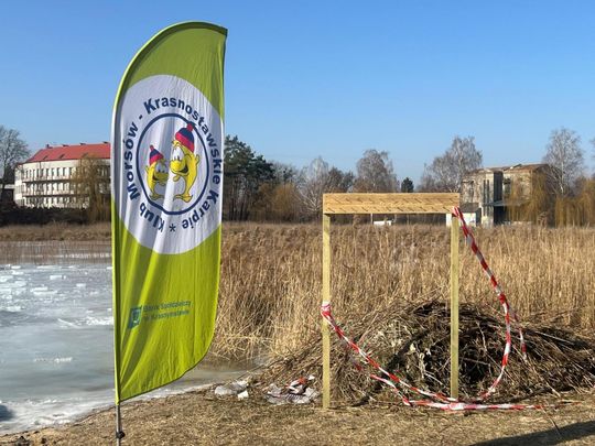 Krasnostawskie Karpie wykąpały się w przerębli [GALERIA ZDJĘĆ]