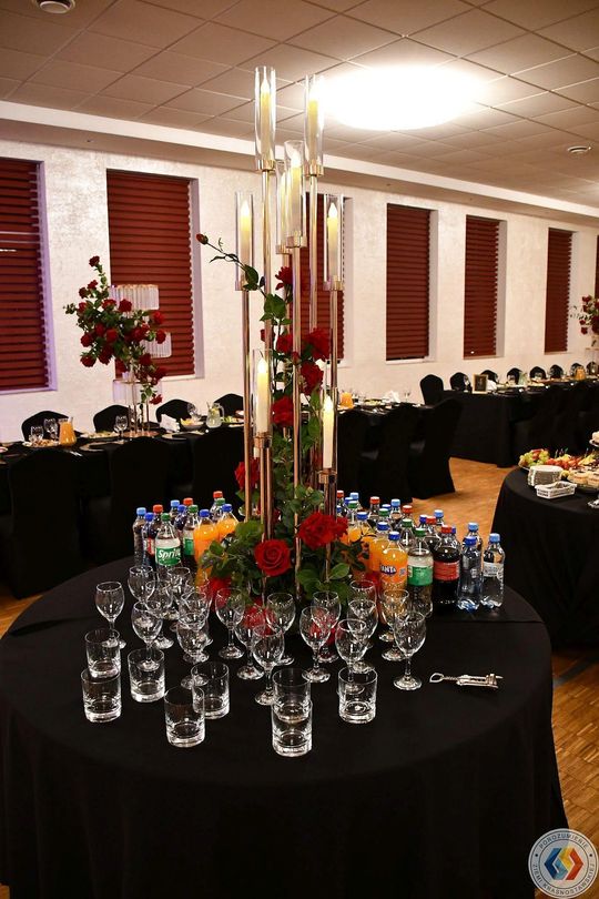 Krasnystaw. Charytatywny I Bal Samorządowca [GALERIA ZDJĘĆ]