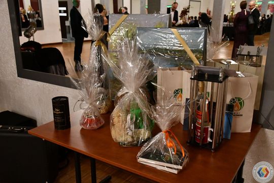 Krasnystaw. Charytatywny I Bal Samorządowca [GALERIA ZDJĘĆ]