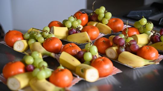 Gm. Kraśniczyn. Ah, co to był za Bal Karnawałowy!