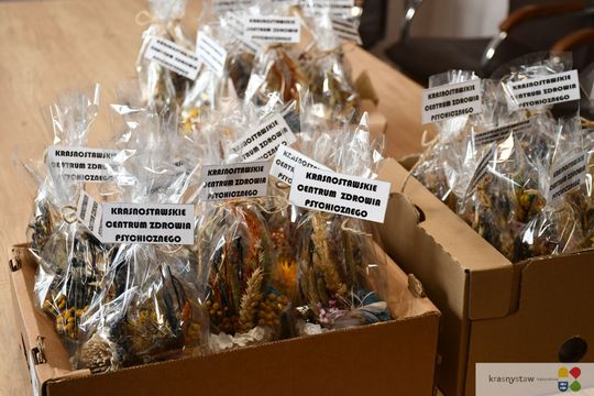 Krasnystaw. Uroczyste otwarcie nowo wyremontowanego Centrum Zdrowia Psychicznego [GALERIA ZDJĘĆ]