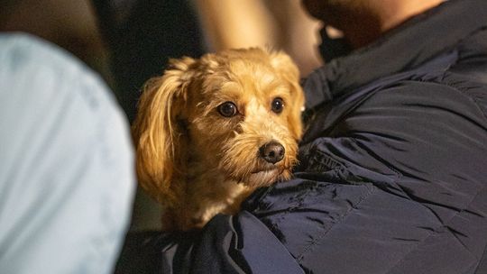 Chełm. Obchody Narodowego Dnia Pamięci Żołnierzy Wyklętych [GALERIA ZDJĘĆ]