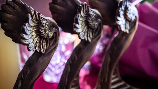 Trwa gala (W)schody Powiatu Włodawskiego [GALERIA ZDJĘĆ]