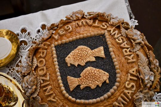 631. rocznica nadania miastu Krasnystaw praw miejskich. Uroczysta sesja  [GALERIA ZDJĘĆ]