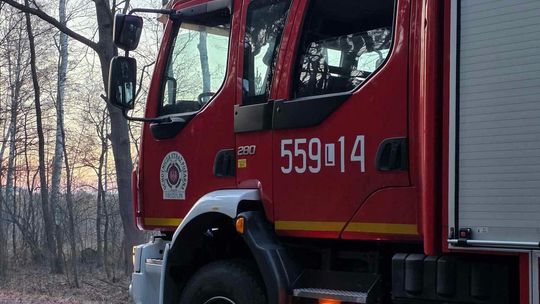 Pożar w Wytycznie – przyczyną zerwana linia energetyczna [ZDJĘCIA]