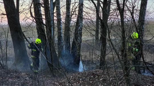 Pożar w Wytycznie – przyczyną zerwana linia energetyczna [ZDJĘCIA]