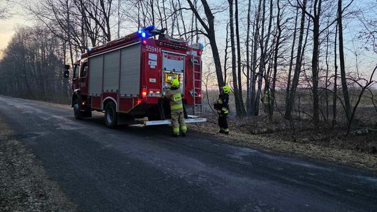 Pożar w Wytycznie – przyczyną zerwana linia energetyczna [ZDJĘCIA]