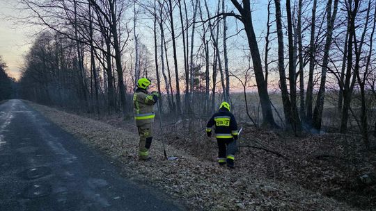Pożar w Wytycznie – przyczyną zerwana linia energetyczna [ZDJĘCIA]