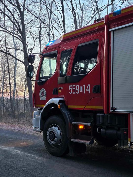 Pożar w Wytycznie – przyczyną zerwana linia energetyczna [ZDJĘCIA]