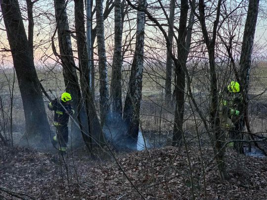 Pożar w Wytycznie – przyczyną zerwana linia energetyczna [ZDJĘCIA]
