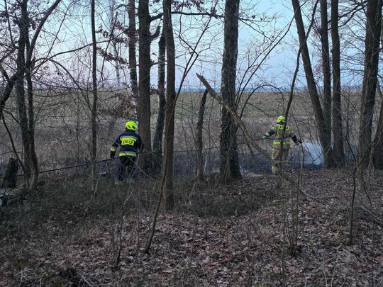 Pożar w Wytycznie – przyczyną zerwana linia energetyczna [ZDJĘCIA]