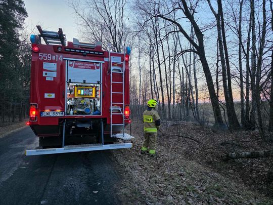 Pożar w Wytycznie – przyczyną zerwana linia energetyczna [ZDJĘCIA]