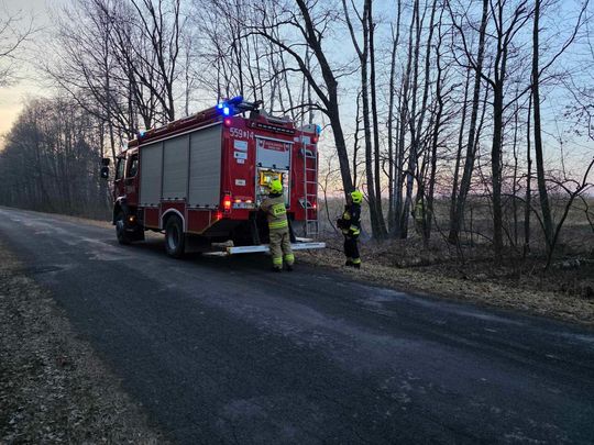 Pożar w Wytycznie – przyczyną zerwana linia energetyczna [ZDJĘCIA]