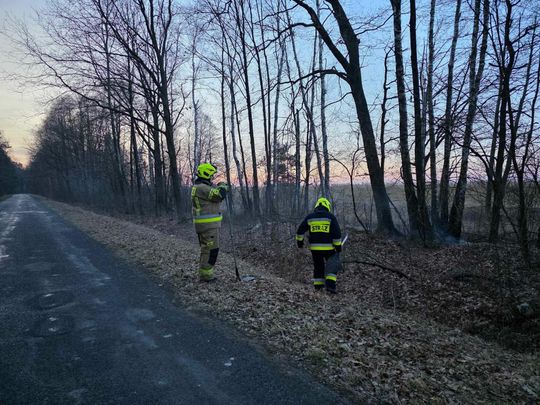 Pożar w Wytycznie – przyczyną zerwana linia energetyczna [ZDJĘCIA]